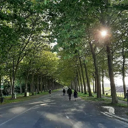 F3 Central, Bright And Quiet In Apartamento