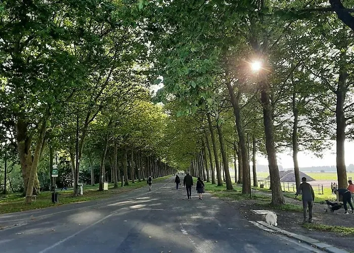 F3 Central, Bright And Quiet In Апартаменты